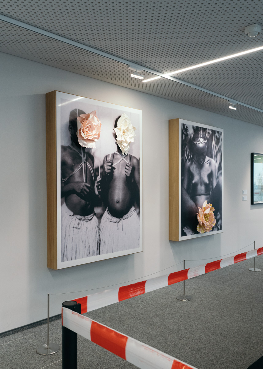 Vilsmeier Linhares